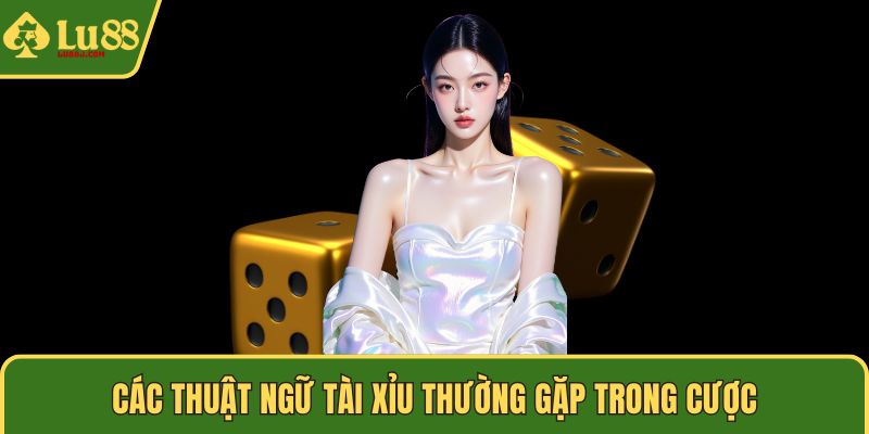 Các thuật ngữ Tài Xỉu thường gặp trong cược