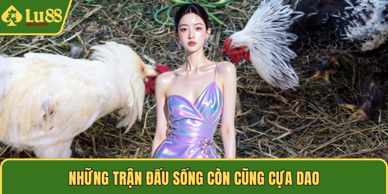 Những trận đấu sống còn cũng cựa dao